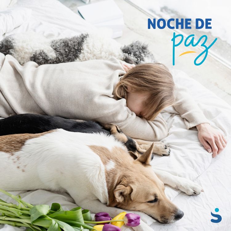 Beneficios de tener un colchón memory foam